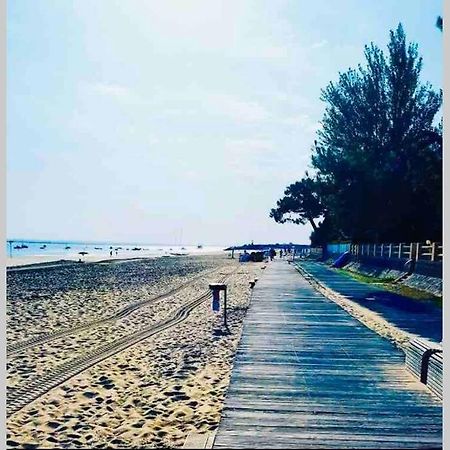 Appt 1 Chambre Calme Clim Jardin Plage Gare Proche Arcachon Kültér fotó